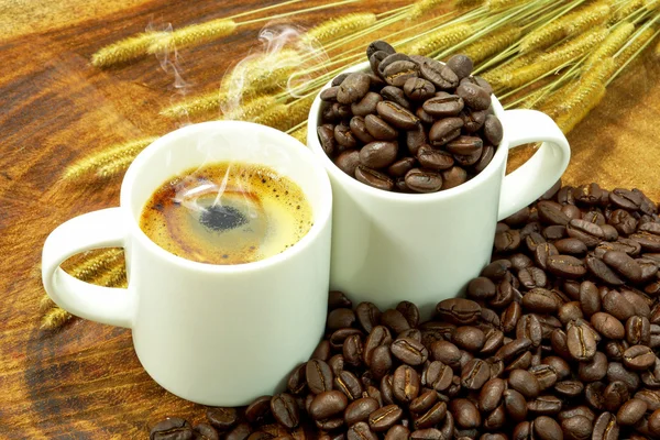 Fresh coffee and roasted coffee beans — Stock Photo, Image