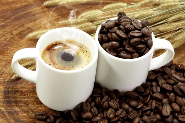 Café frais et grains de café torréfiés — Photo