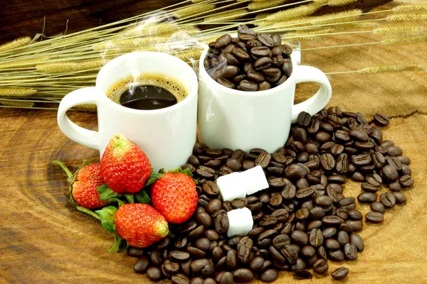 Fresh coffee and roasted coffee beans — Stock Photo, Image