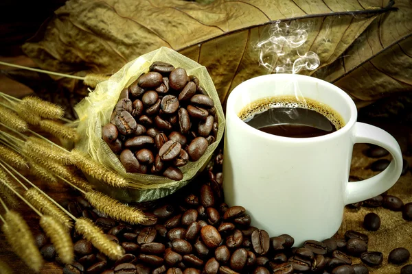 Café fresco e grãos de café torrados — Fotografia de Stock