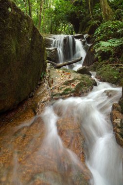 yağışlı sezon içinde küçük şelale