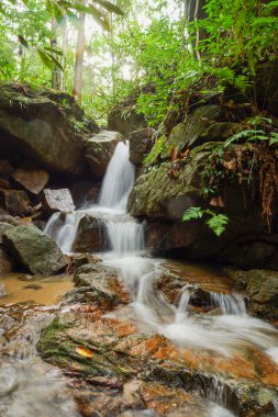 yağışlı sezon içinde küçük şelale