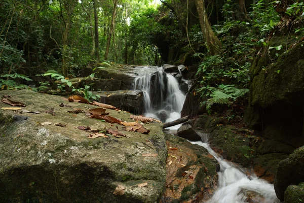 Pequeña cascada en la temporada de lluvias —  Fotos de Stock