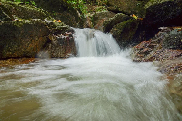 Small waterfall in the rainy season — Stock Photo, Image