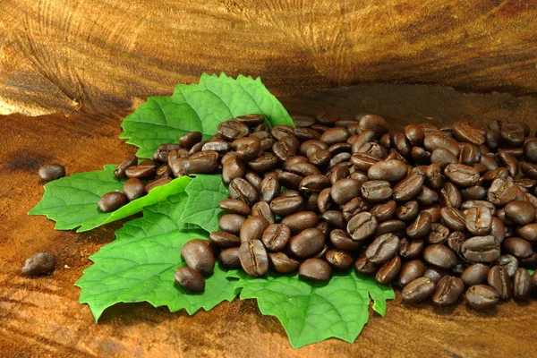 Kávébab a fa háttér. — Stock Fotó