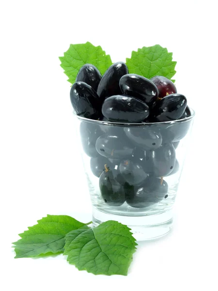 Raisins noirs dans un verre isolé sur fond blanc . — Photo
