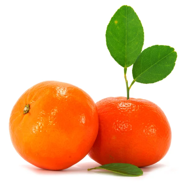 Apelsin och orange lämnar isolerade på vit bakgrund. — Stockfoto