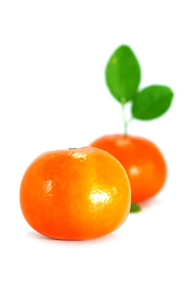 Orange und orangefarbene Blätter isoliert auf weißem Hintergrund. — Stockfoto