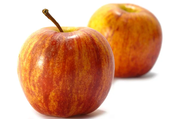 Vilde æbler isoleret på hvid baggrund . - Stock-foto