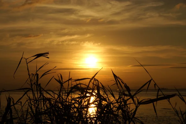 Cielo del atardecer — Foto de Stock