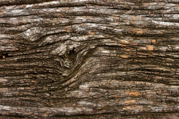 Détail de vieilles planches en bois . — Photo