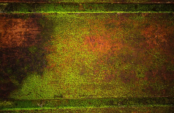 Schors en moss op rode muur — Stockfoto