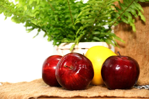 Apple multicolored — Stock Photo, Image