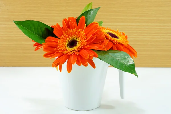 오렌지 gerbera 꽃 나무 배경 — 스톡 사진