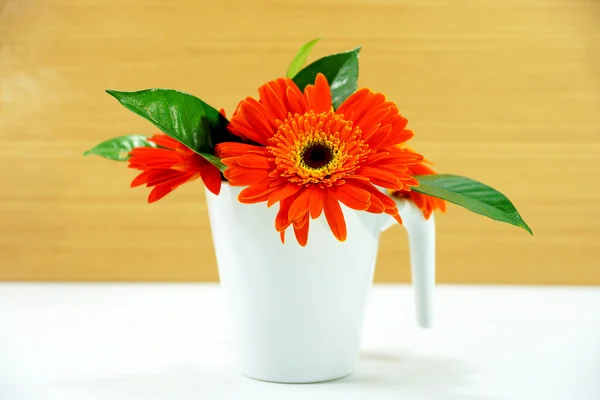 Fleur de gerbera orange sur fond de bois — Photo