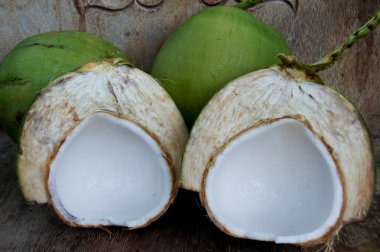 Hindistan cevizi ağacı