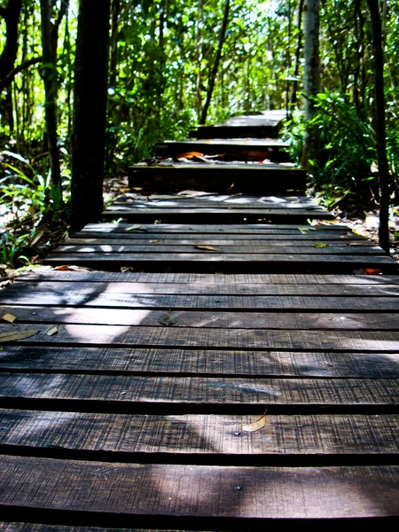 Emerald pool trail in het bos. — Stockfoto