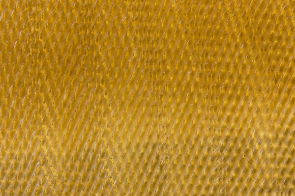 Лист резины
.