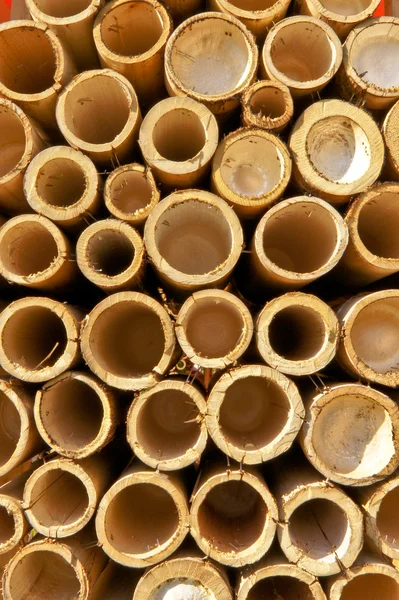 Бамбуковые трубы . — стоковое фото