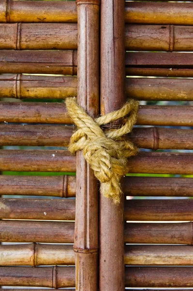 Japanese bamboo. — Stock Photo, Image