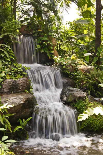 Cascade dans le jardin. — Photo