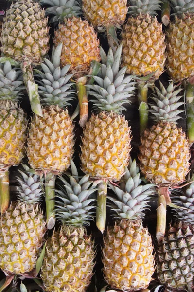 Fresh pineapple. — Stock Photo, Image