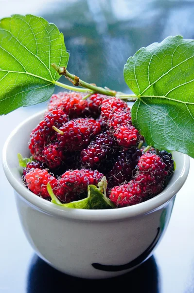 Mulberry fruit. — Stock Photo, Image