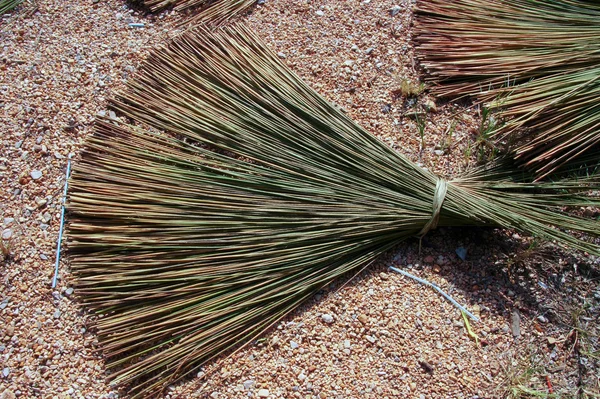 Bomen voor mand — Stockfoto