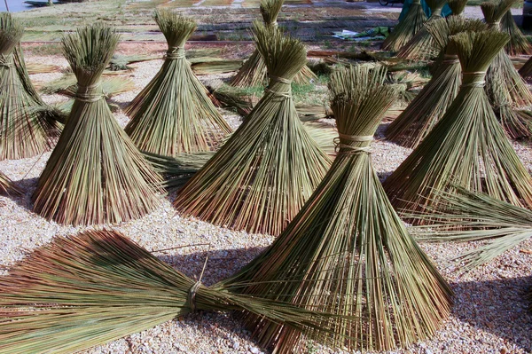 Bomen voor mand — Stockfoto