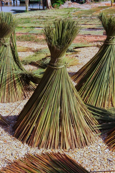 Bomen voor mand — Stockfoto