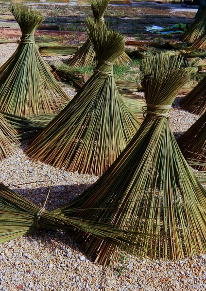 Bomen voor mand — Stockfoto