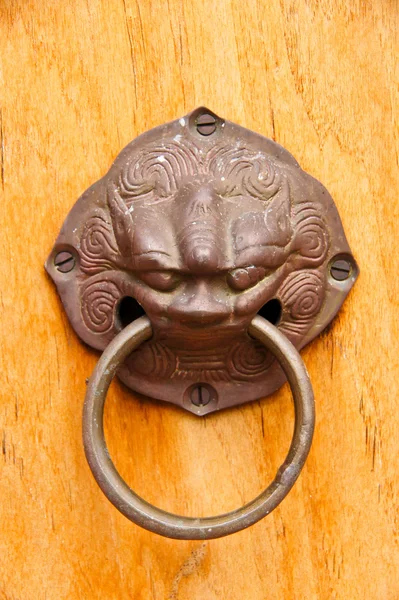 Copper figure of Chinese lion On the ancient temple in wood door — Stock Photo, Image