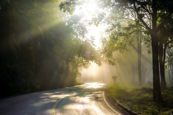 Niebla en el sol de la mañana en el camino solo . —  Fotos de Stock