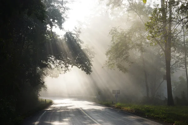 Brouillard dans le soleil du matin sur la route seule . — Photo