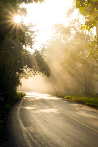 Niebla en el sol de la mañana en el camino solo . — Foto de Stock