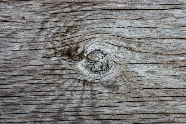 Old wood texture — Stock Photo, Image