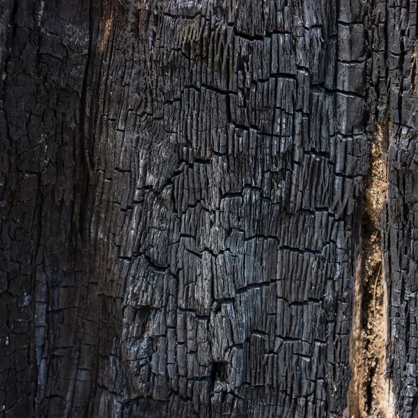 Surface of charcoal — Stock Photo, Image