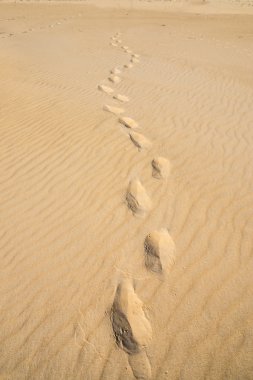 vestígios de viagem na areia