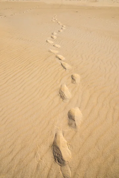 Reisespuren im Sand — Stockfoto