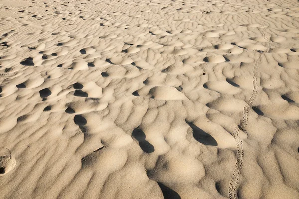 Вид и детали песка, Пханг Нга - Таиланд . — стоковое фото