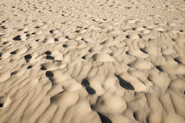 View and details of the sand, Phang Nga - Thailand. — Stock Photo, Image