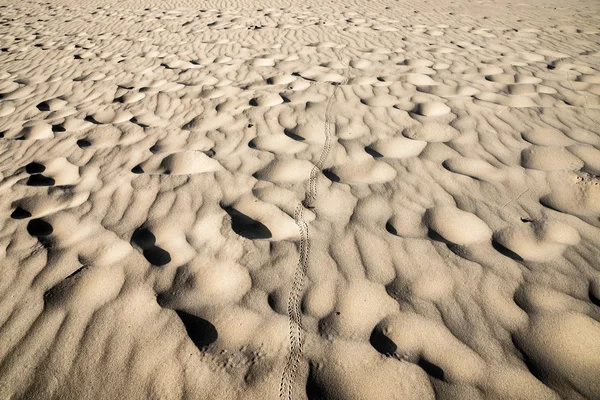 Vue et détails du sable, Phang Nga - Thaïlande . — Photo