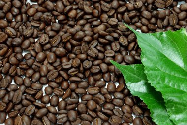 Kavrulmuş kahve çekirdeği.