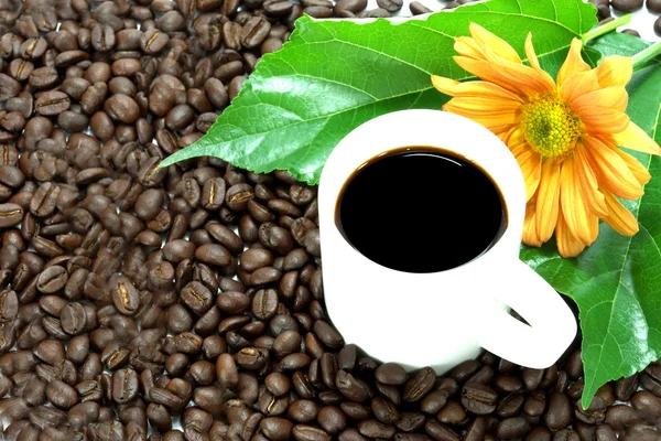 भाजलेले कॉफी बीन्स आणि गरम कॉफी . — स्टॉक फोटो, इमेज