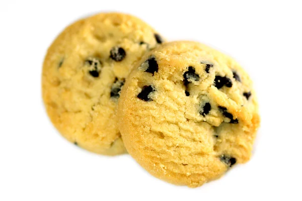 Soubory cookie s brusinkami a čokoládou izolovaných na bílém backgro — Stock fotografie