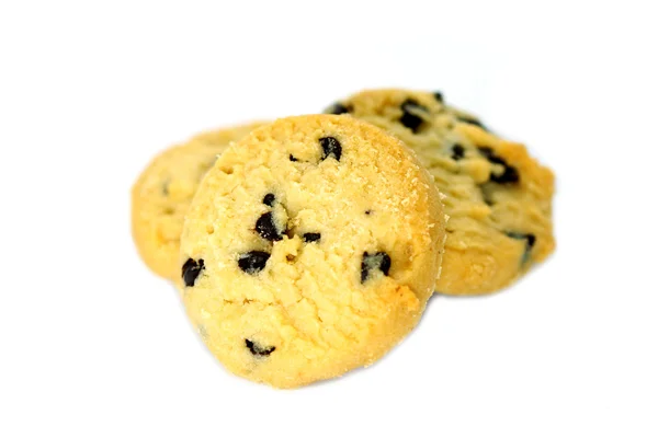 Cookies med tranbär och choklad isolerad på vit backgro — Stockfoto