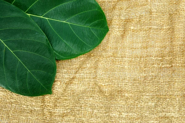 Leaves on the fabric background. — Stock Photo, Image