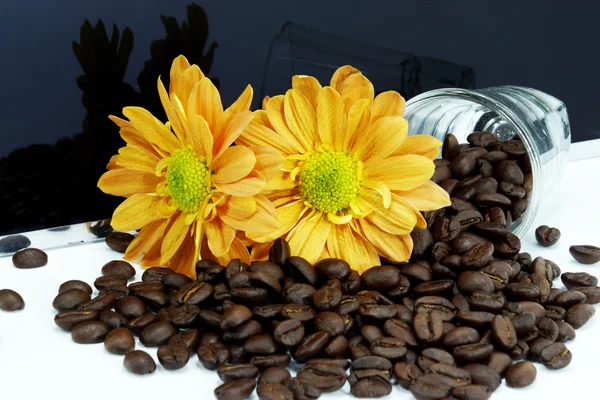 Καφέ και λουλούδια — Φωτογραφία Αρχείου