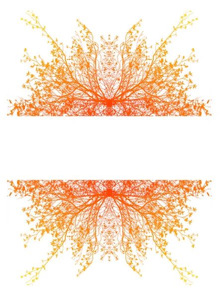 Oranje boomtak op witte achtergrond. — Stockfoto