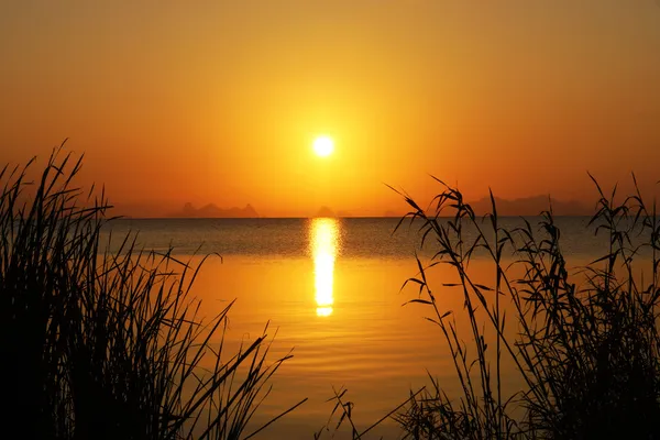 Закатное небо и большое солнце над озером . — стоковое фото
